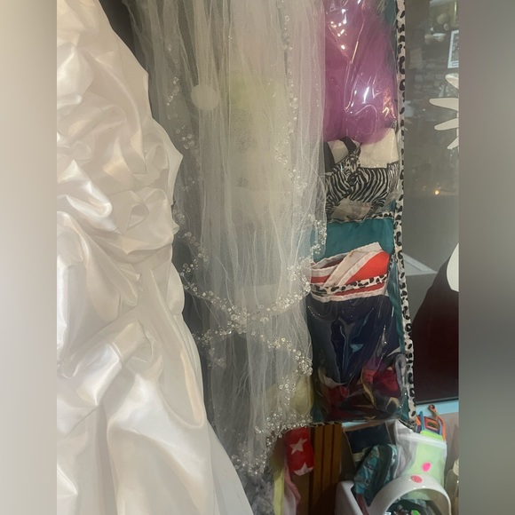 Gorgeous White Wedding Dress and Vail !! - Picture 10 of 12